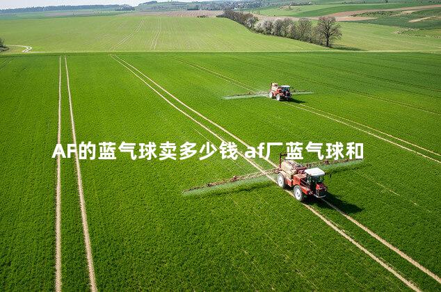 AF的蓝气球卖多少钱 af厂蓝气球和正品对比